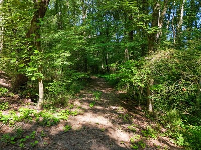 0 Lineberry Lane, Cumming, GA