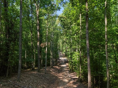 0 Lineberry Lane, Cumming, GA