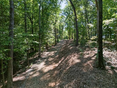 0 Lineberry Lane, Cumming, GA