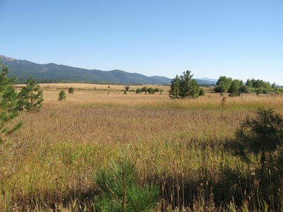 1217 Elo Road, McCall, ID