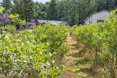 2060 SW Butler Rd, Gresham, OR