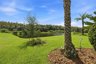 18615 Rue Beauvais, Lutz, FL