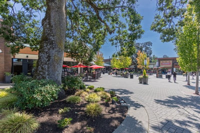 6 - 909 Carolwood Drive, Victoria, BC