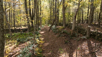 93 & 90-94 Upton Road, Ashford, CT