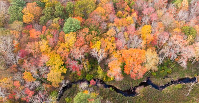 93 & 90-94 Upton Road, Ashford, CT