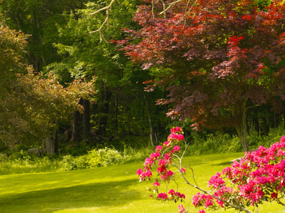 93 & 90-94 Upton Road, Ashford, CT