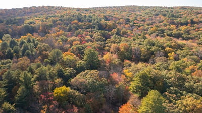 93 & 90-94 Upton Road, Ashford, CT