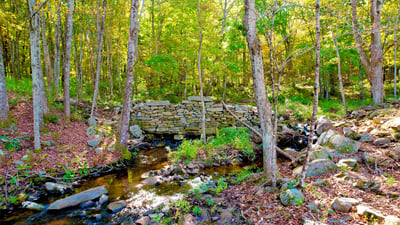 93 & 90-94 Upton Road, Ashford, CT
