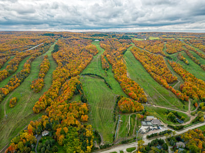 190 Courtland St, Blue Mountains, ON