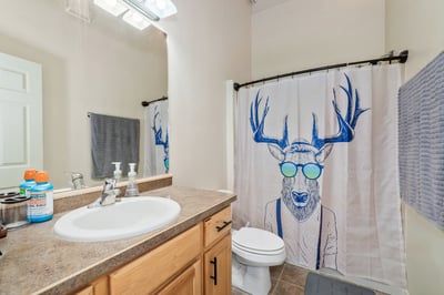 416 Enterprise St, #C, Hayden, CO