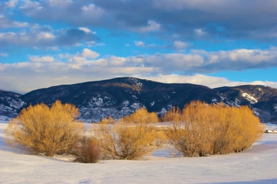 23800 County Road 16, 508, Oak Creek, CO