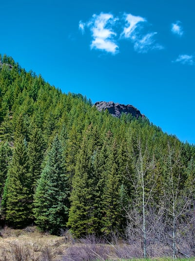 23800 County Road 16, 508, Oak Creek, CO