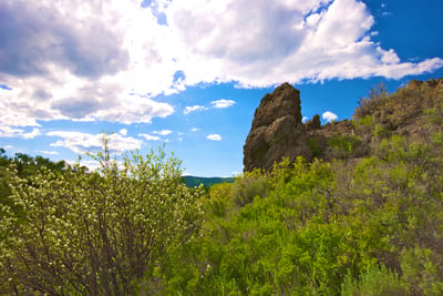 23800 County Road 16, 508, Oak Creek, CO