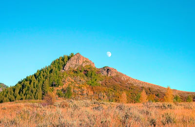 23800 County Road 16, 508, Oak Creek, CO