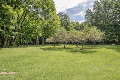 3179 NY Rt 9N, Greenfield Center, NY