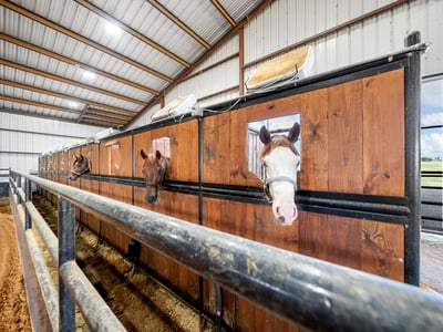 FRONT VIEW OF 10 TIE STALLS