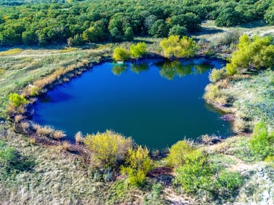 ONE OF MANY PONDS