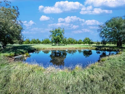 ONE OF MANY PONDS