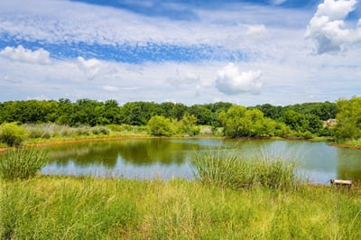 ONE OF MANY PONDS