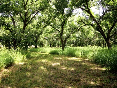 PROPERTY TRAILS