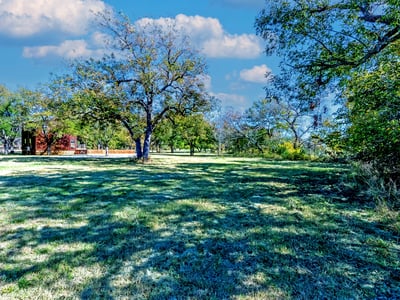 CABIN AND YARD