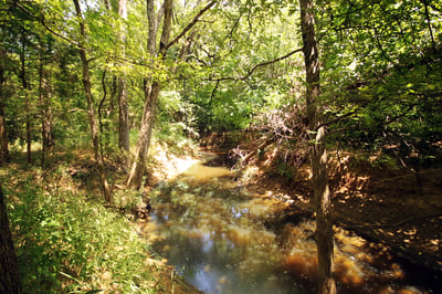 CREEK...Located Towards Back Of Property