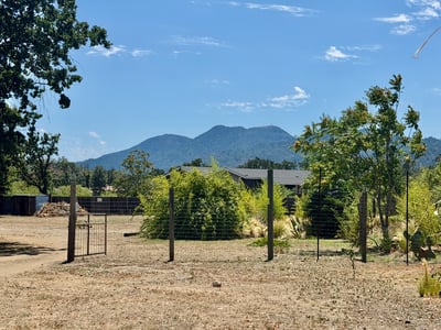 VIEW OF MT. ST HELENA