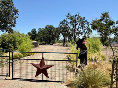 SIDE YARD GATE