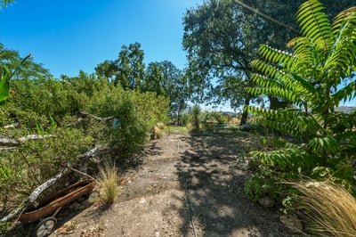 20776 Napa Ave, Middletown, CA