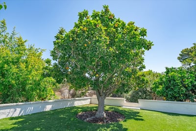 12366 Grandee Court, San Diego, CA