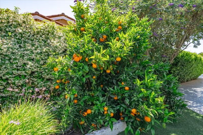 12366 Grandee Court, San Diego, CA