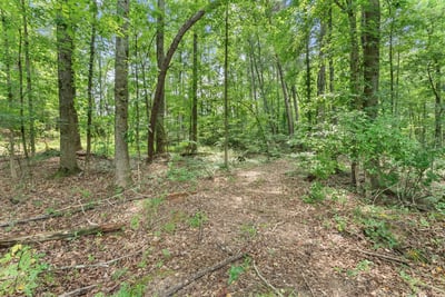 Jackson Trail Road, Hoschton, GA