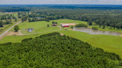 Spacious, scenic property featuring expansive green fields, a serene pond, and versatile outbuildings for various uses.