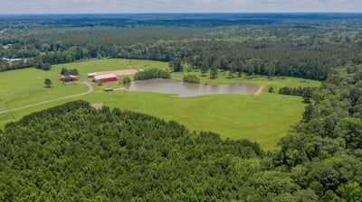 Spacious rural property featuring a pond, open fields, and wooded areas, perfect for agriculture or recreation.