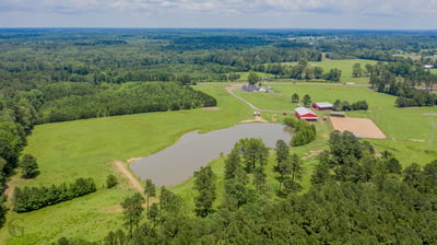 Expansive countryside property featuring open fields, a pond, and versatile outbuildings for diverse agricultural uses.