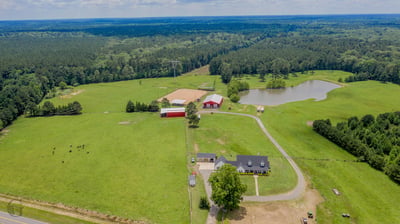 Spacious countryside property featuring expansive fields, a pond, and versatile outbuildings for livestock or equipment.