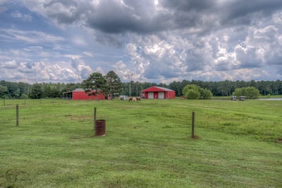 Expansive acreage with vibrant red barns and ample outdoor space, ideal for agricultural pursuits or livestock.