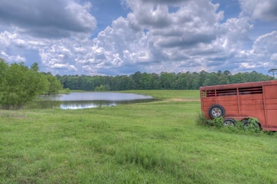 Spacious landscape featuring a tranquil pond, lush greenery, and a rustic storage unit, perfect for outdoor activities or livestock.