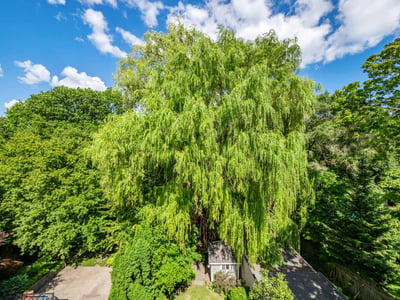 487 Spadina Rd., Toronto, ON