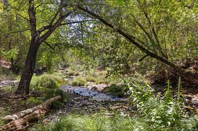 1595 Warm Springs Rd, Glen Ellen, CA