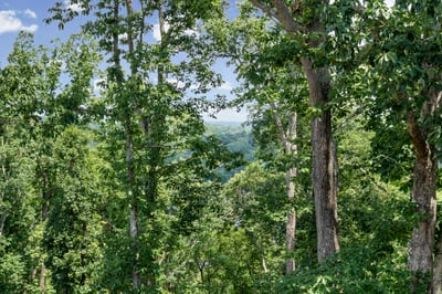 7405 Crestline Drive, Dawsonville, GA