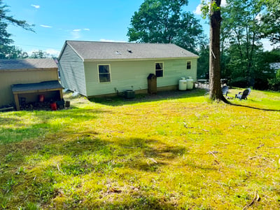 Back Yard with Shed