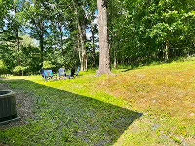 Back Yard and Woods