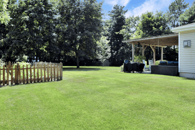 A Park-Like Setting