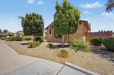 Mature shade trees, desert landscaping, flowering shrubs, and decorative rock create a polished, low-maintenance front yard that complements the home's beautiful exterior in Goodyear.