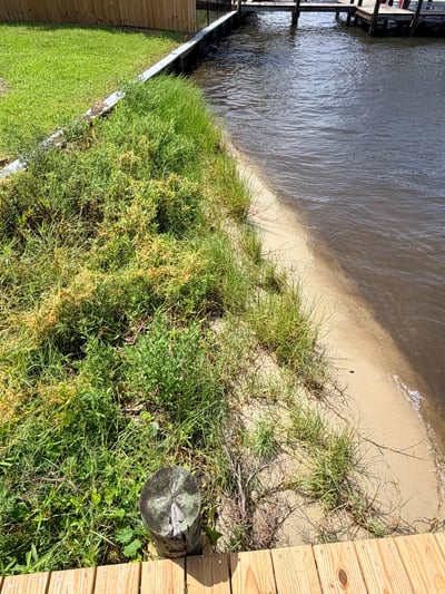 Waterfront property featuring a spacious yard with natural vegetation, ideal for outdoor activities and relaxation.