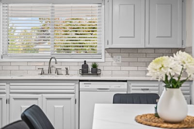 Kitchen Sink and Window