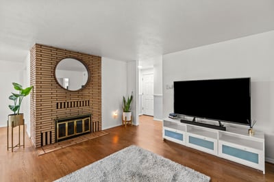 Living Room and Fireplace
