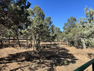 36 Williams Road, Edgewood, NM