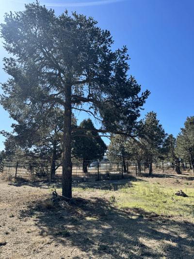 36 Williams Road, Edgewood, NM